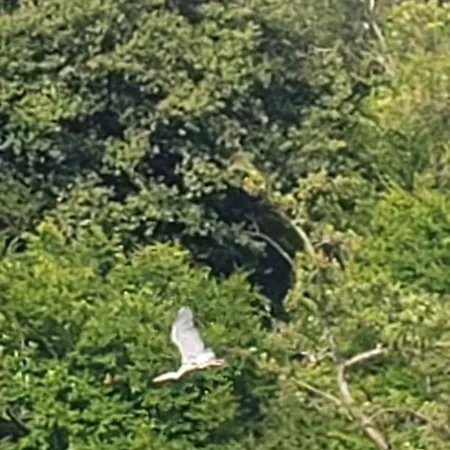 Campeggio 176, Promo