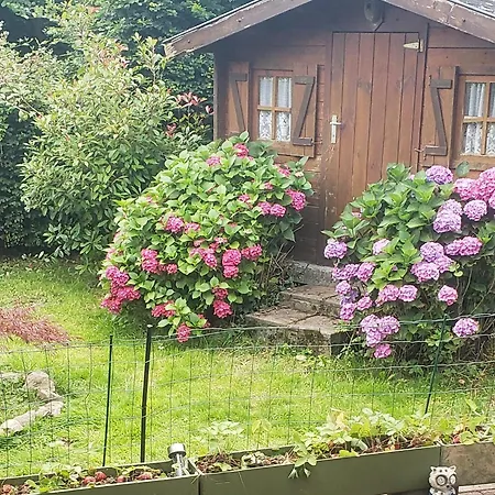 Campeggio 176, Promo Durbuy